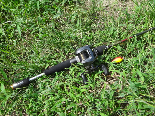 c0135271_1432421.jpg