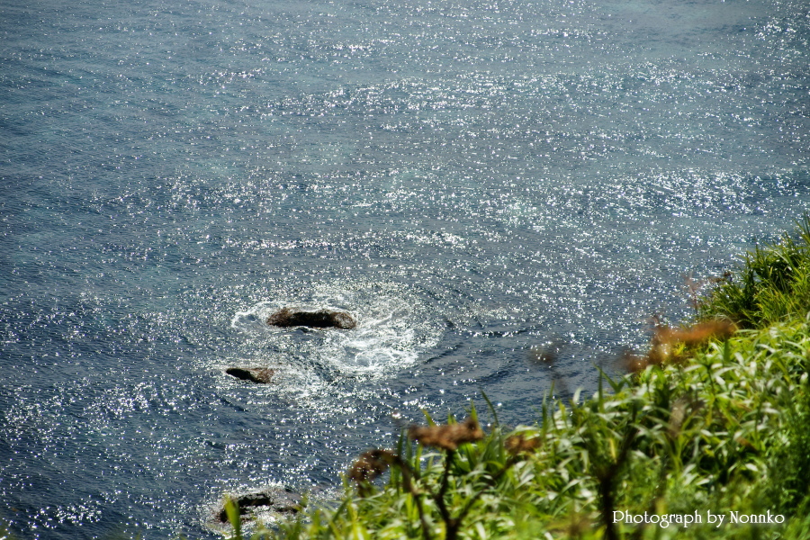 c0106977_1204037.jpg