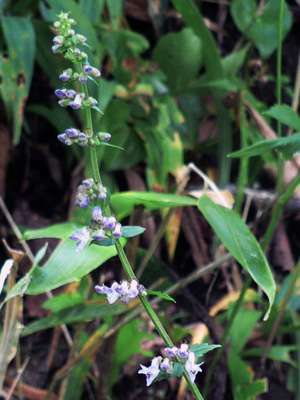 f0083977_6231837.jpg