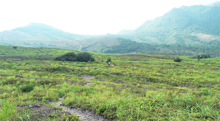 f0083977_6343046.jpg