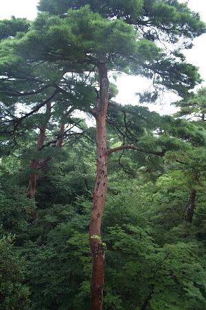 夏季休暇2日目_a0133078_7315711.jpg