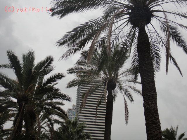 f0062680_16575360.jpg
