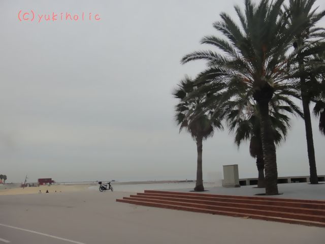 f0062680_1704756.jpg