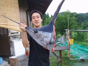 カジキの頭！！ : 海の仕立て屋 浦田帆屋4代目日記！