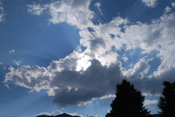 c0144684_135524.gif