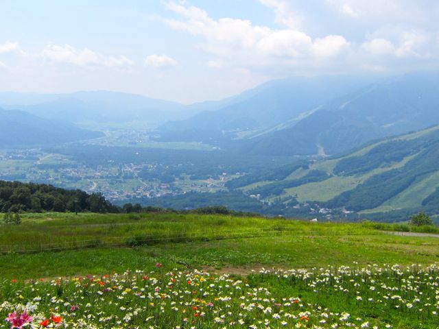 白馬岩岳ゆり園 Rei Onni Photograph 白馬岩岳ゆり園 Rei Onni Photograph