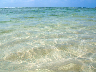 a0077894_23163565.jpg