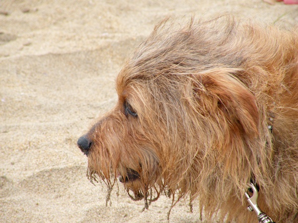 にぎやか夏の終わり Ⅱ　_f0176499_7102650.jpg