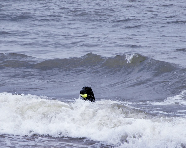 にぎやか夏の終わり Ⅱ　_f0176499_7132246.jpg