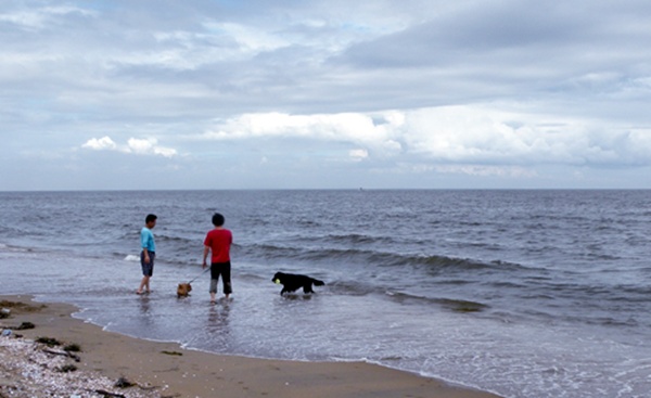 にぎやか夏の終わり Ⅱ　_f0176499_717840.jpg