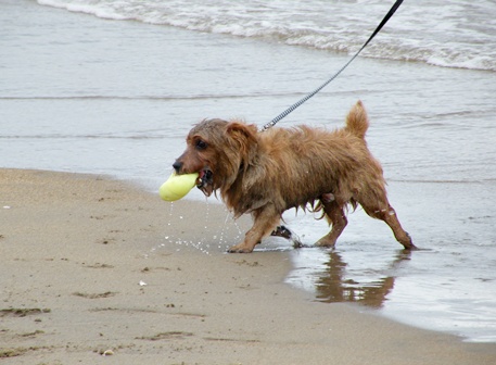 にぎやか夏の終わり Ⅱ　_f0176499_775187.jpg
