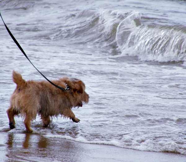 にぎやか夏の終わり Ⅱ　_f0176499_77740.jpg
