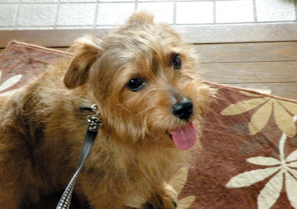 にぎやか　夏の終わり Ⅲ_f0176499_8827.jpg