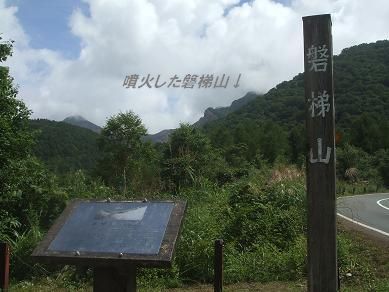 f0179203_9221499.jpg