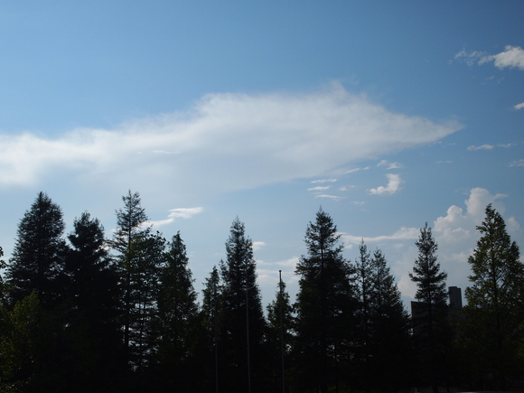 a0200608_2231155.jpg