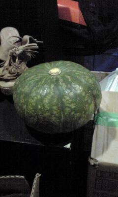 c0180209_16422426.jpg