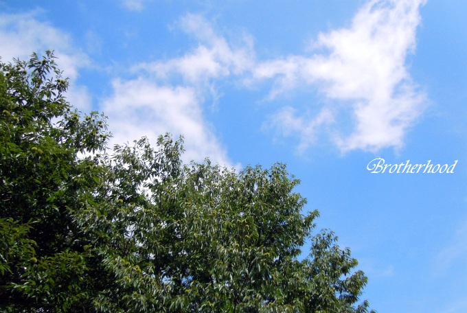 d0179113_13480.jpg