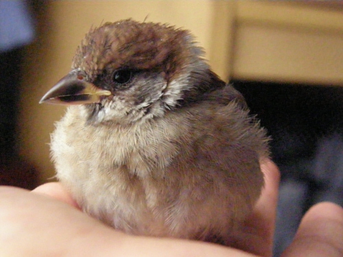 c0158916_2142477.jpg