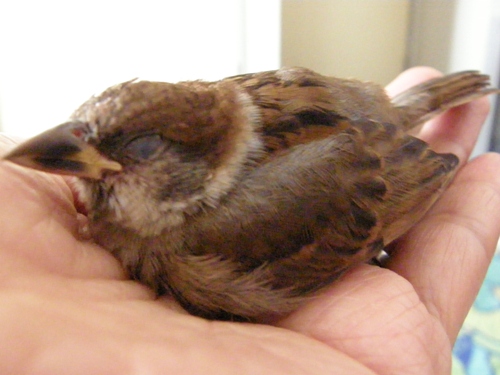 c0158916_21482.jpg