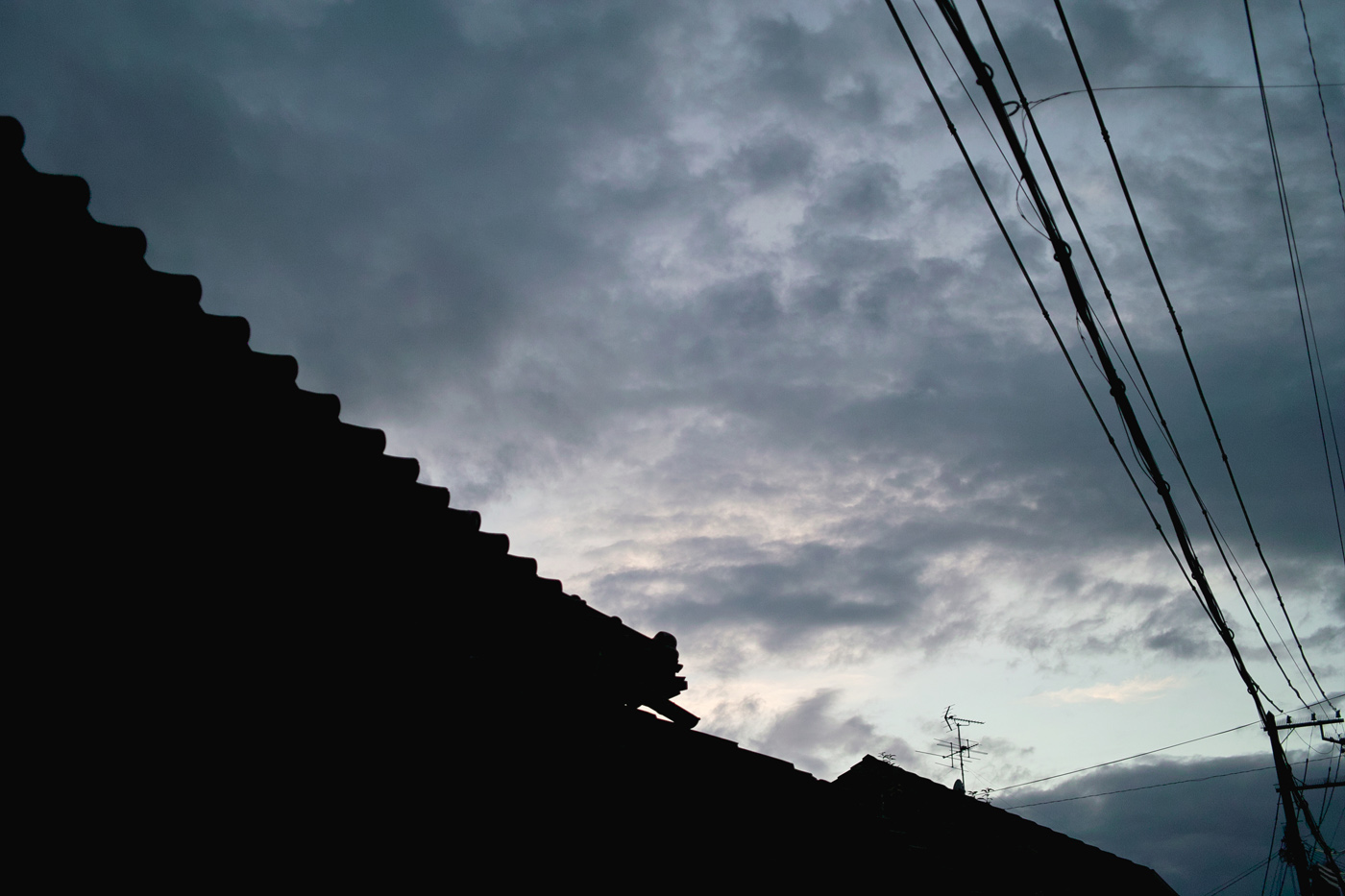 c0213117_19246.jpg