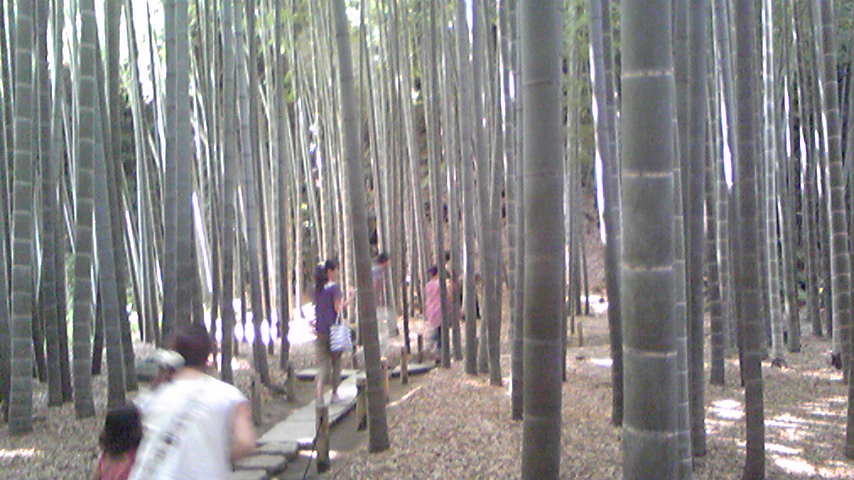 d0004717_4301922.jpg