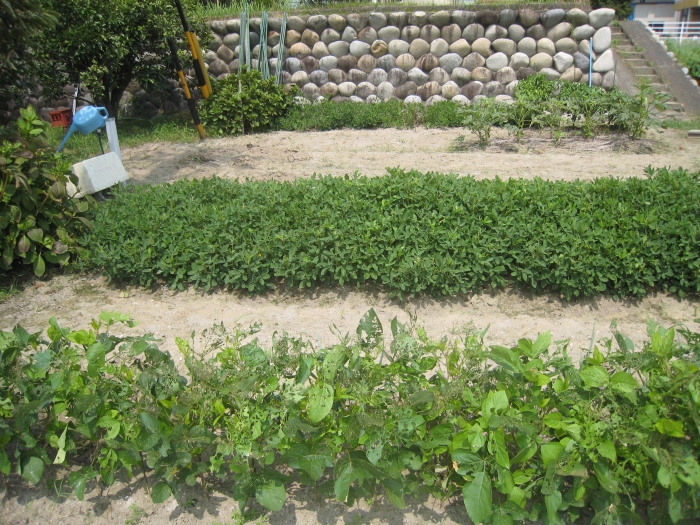 e0164622_22182171.jpg