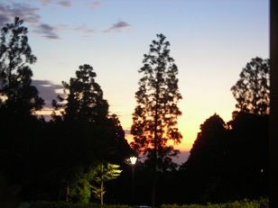 f0165730_312243.jpg