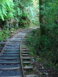 f0165730_313195.jpg