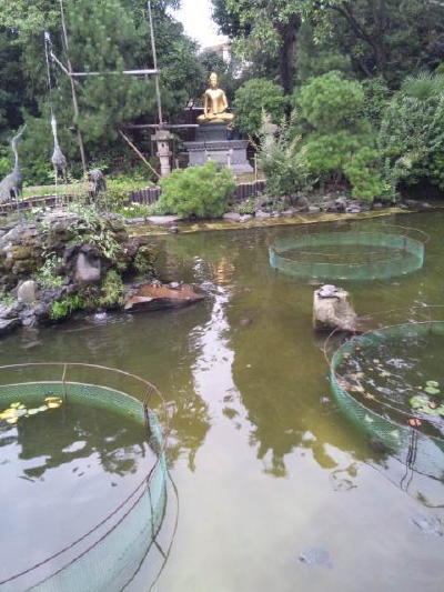 ようこそ川崎大師へ_d0152937_9111283.jpg