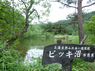 b0169238_2143057.jpg