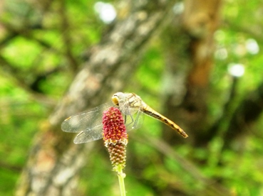 b0169238_21432374.jpg