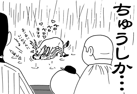 8月27日(土)【阪神−ヤクルト】(甲子園)雨天中止_f0105741_7553239.gif
