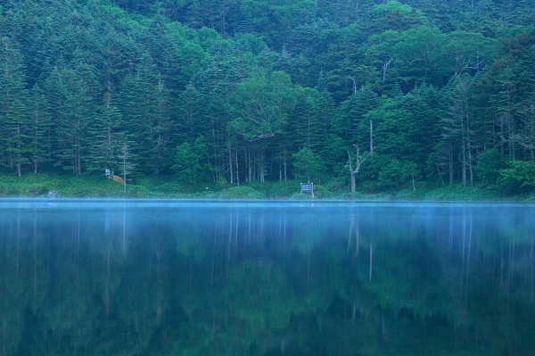 Rainy hile in KITA_YATSUGATAKE vol.1_c0228945_072994.jpg