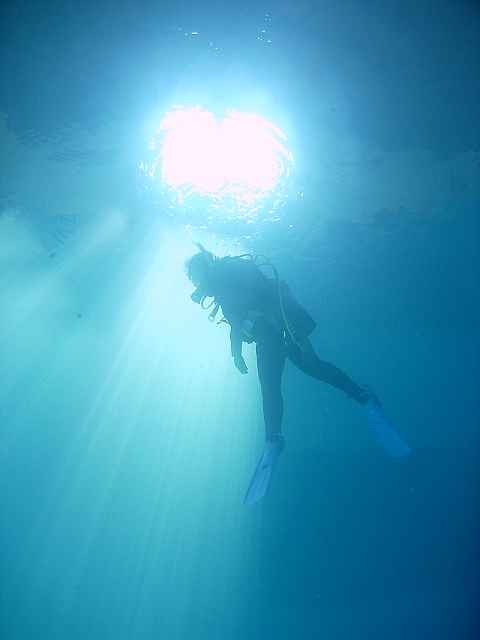 a0095546_23193937.jpg