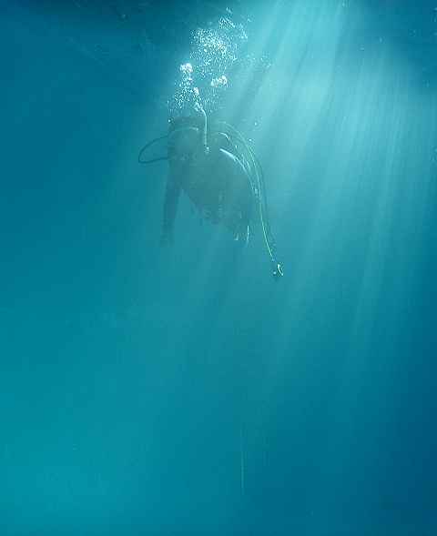 a0095546_23252628.jpg
