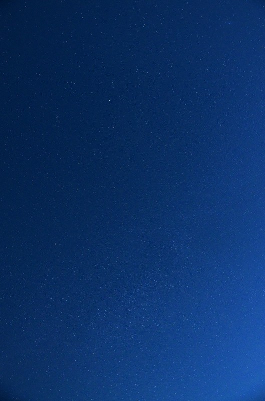 f0002946_6573026.jpg
