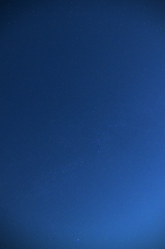 f0002946_6573053.jpg
