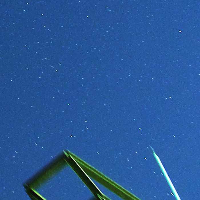 f0002946_6573064.jpg