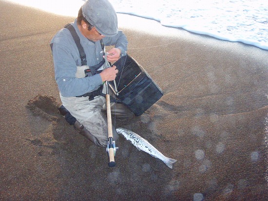 夏の海アメ釣行_c0097652_21215177.jpg