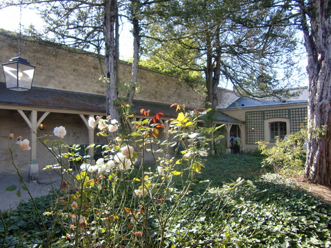 c0206352_7543337.jpg