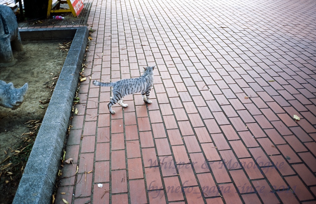 e0190554_10531131.jpg