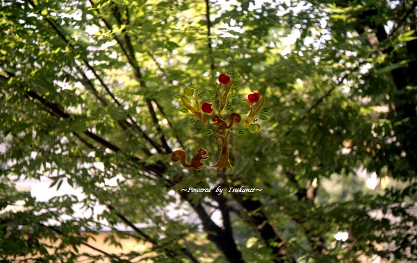 b0213755_21425.jpg