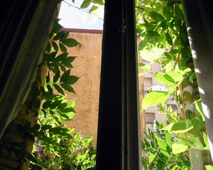 a0155362_1849064.jpg