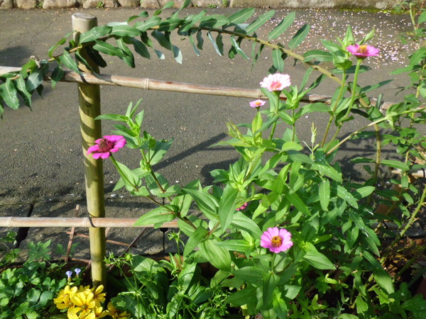 d0233866_8271198.jpg