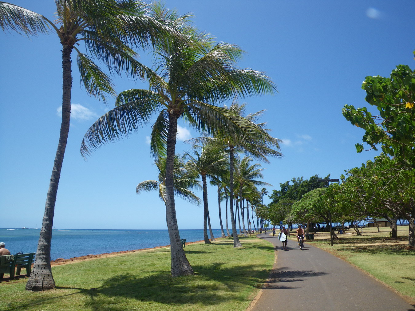 f0157268_18145137.jpg