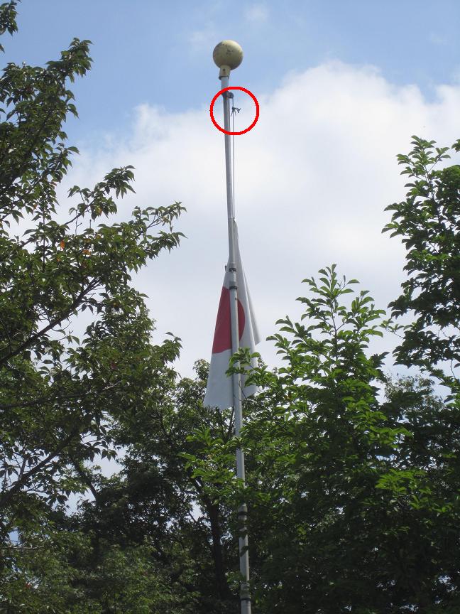 神社は何故半旗を掲げる_f0030574_23494218.jpg