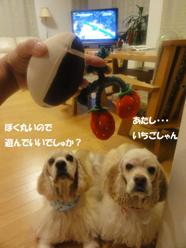 f0218182_23163767.jpg