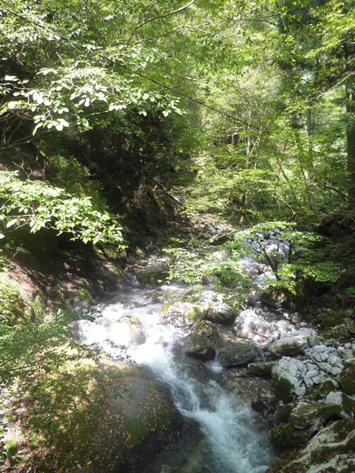b0116785_9355322.jpg