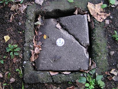 f0078286_9551438.jpg