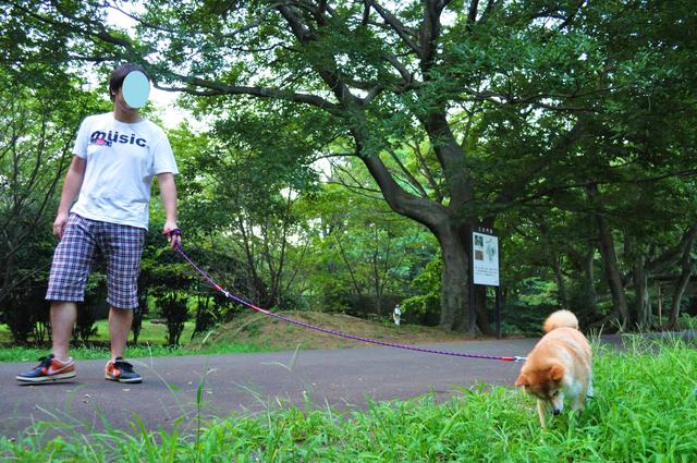 かぼちゃんに会いに_a0126590_1123945.jpg